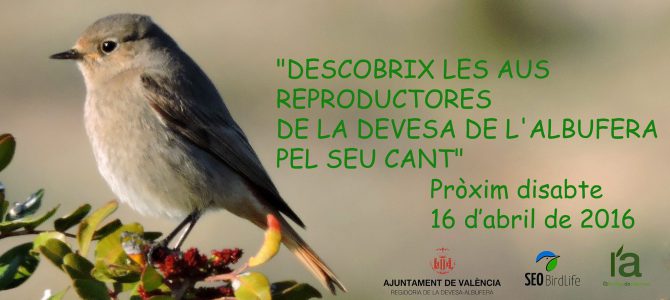 Descobrix a les aus reproductores de la Devesa de l’Albufera pel seu cant Descobrix a les aus reproductores de la Devesa de l’Albufera pel seu cant