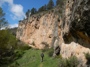 Canyó riu Mira