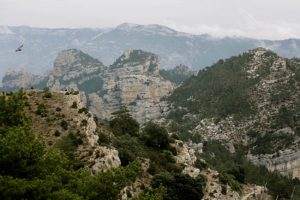 Tinença de Benifassà