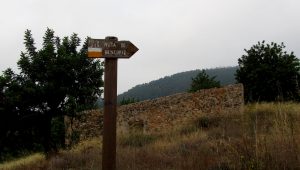 Benedriz