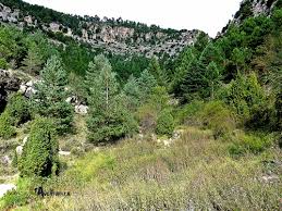 MANADERAS DE VALL DE AZOO (NOGUERUELAS) (BUS)